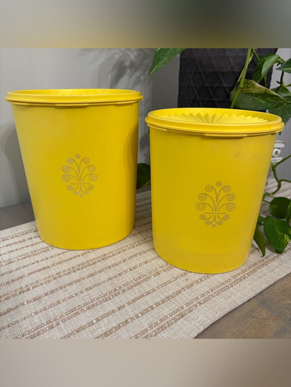 Tupperware Vintage Servalier canisters Fleur de Lis/starburst 7.5/8.5”